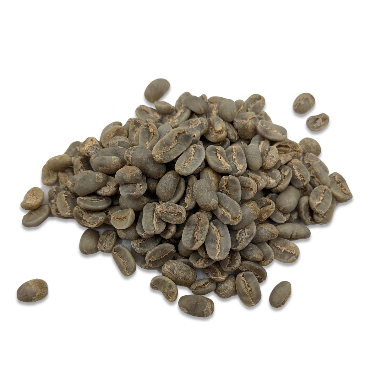 Guatemala - Maragogype