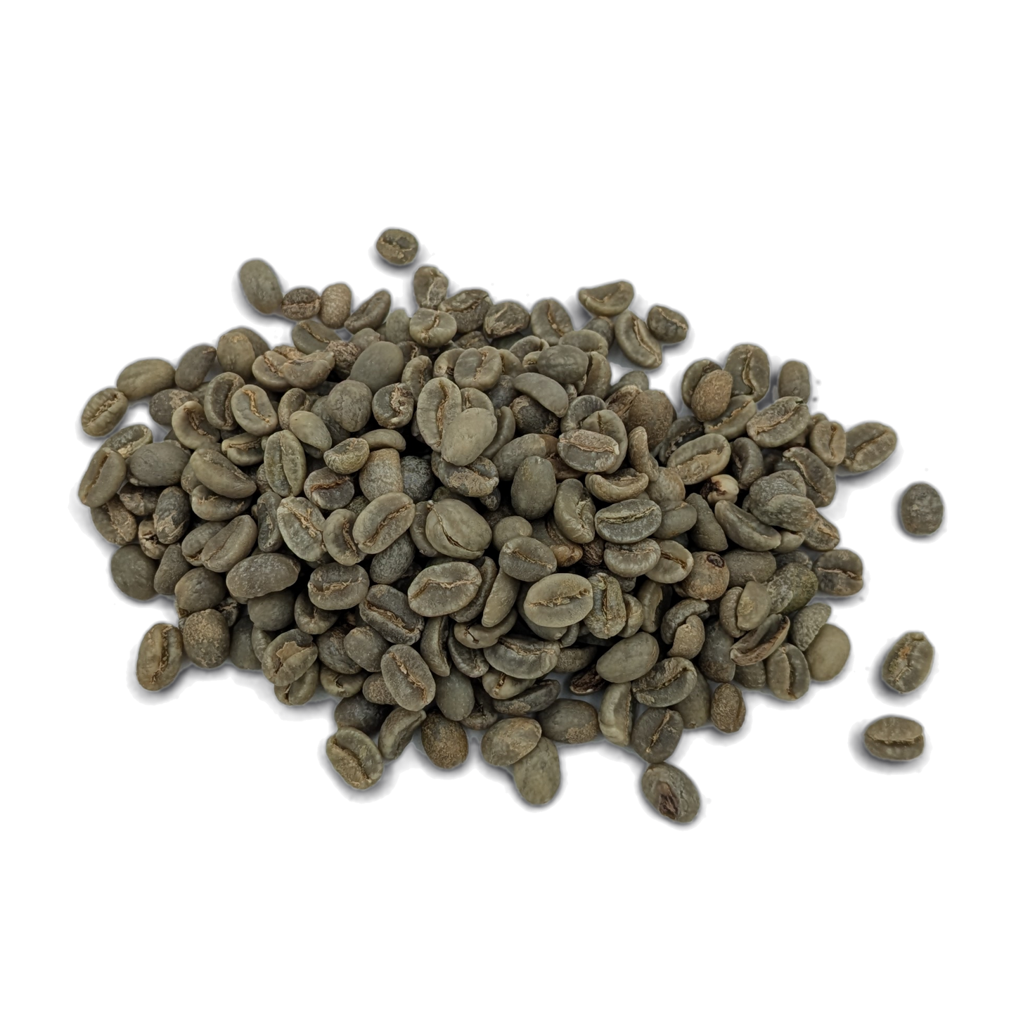 Grains de café vert Colombie Valledupar