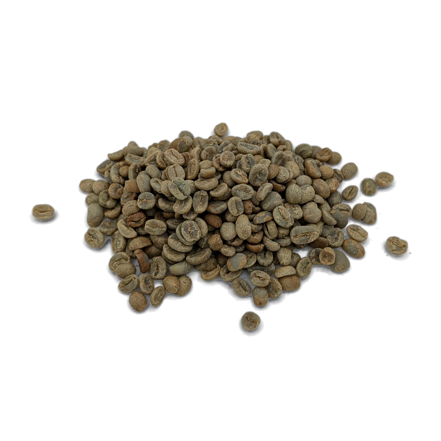 Grains de café vert non torréfiés — Costa Rica Tarrazu Honey — procédé honey