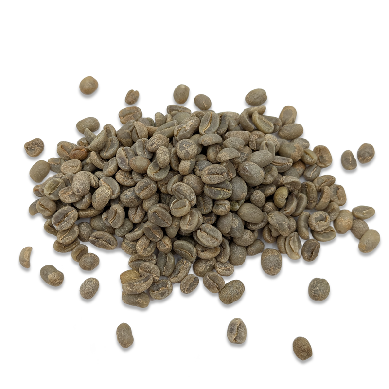 Grains de café vert non torréfiés — Guatemala Caturra, Catuai, Pache — procédé lavé