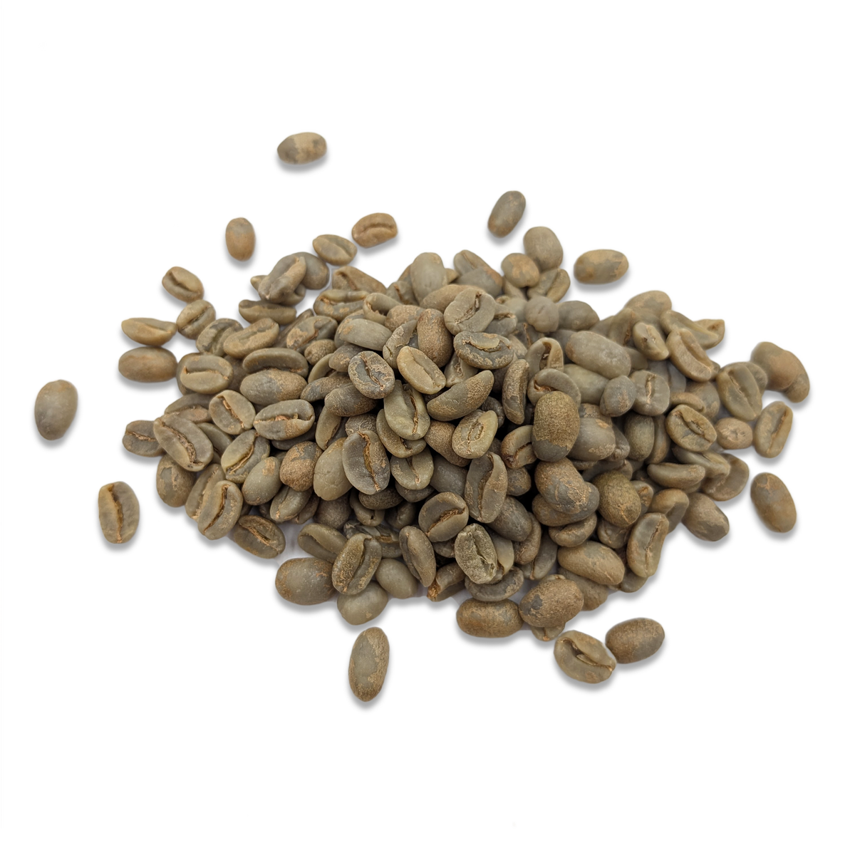 Grains de café vert non torréfiés — Pérou Geisha — procédé honey + fermentation anaérobie 120 heures