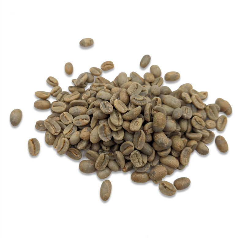 Grains de café vert non torréfiés — Pérou Geisha — procédé honey + fermentation anaérobie 120 heures