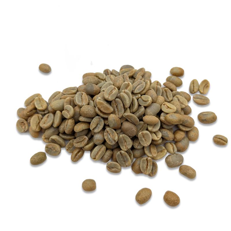 Grains de café vert non torréfiés — Pérou Caturra — procédé naturel + fermentation anaérobie (120 heures)