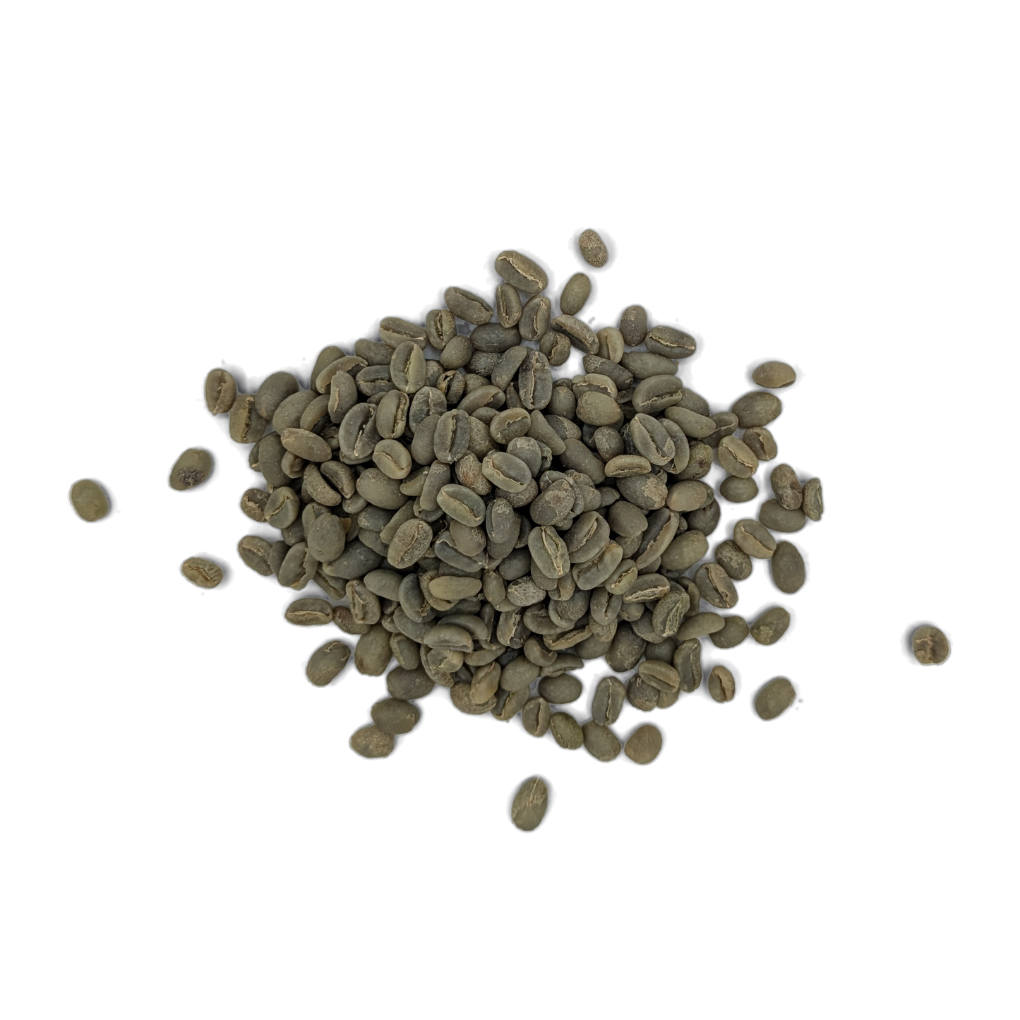 Grains de café vert Sidama G1