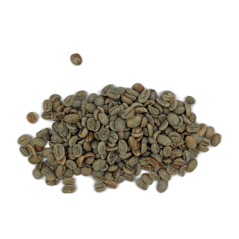 Grains de café vert Summer Bloom