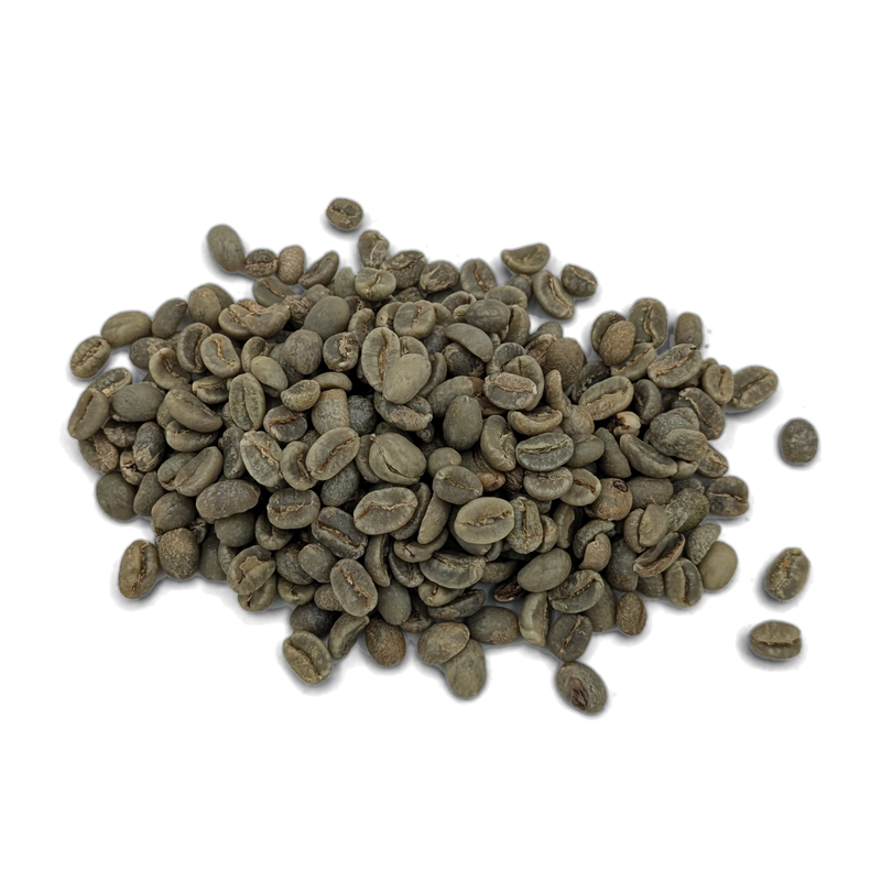 Grains de café vert Colombie Valledupar